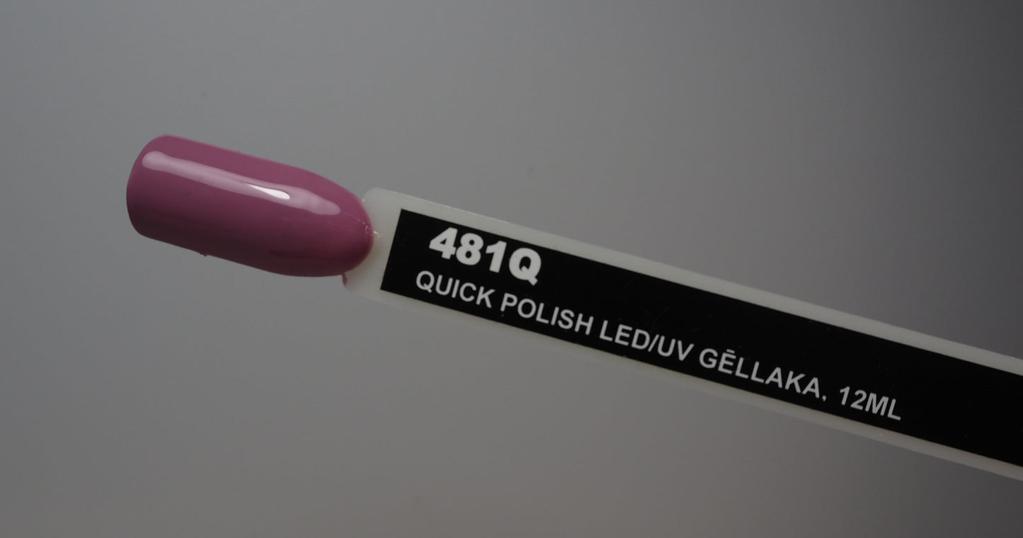 Gel polish 481Q