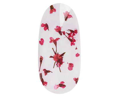 Flower design koristelugeeli Red Poppy