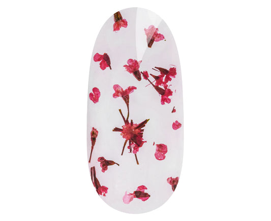 Flower design koristelugeeli Red Poppy