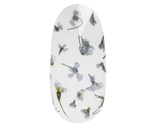 Flower Design koristelugeeli Lilac Lavander