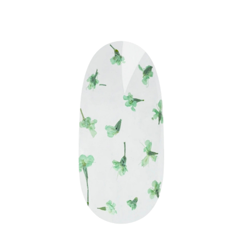 Flower Design koristelugeeli Mint Daisy